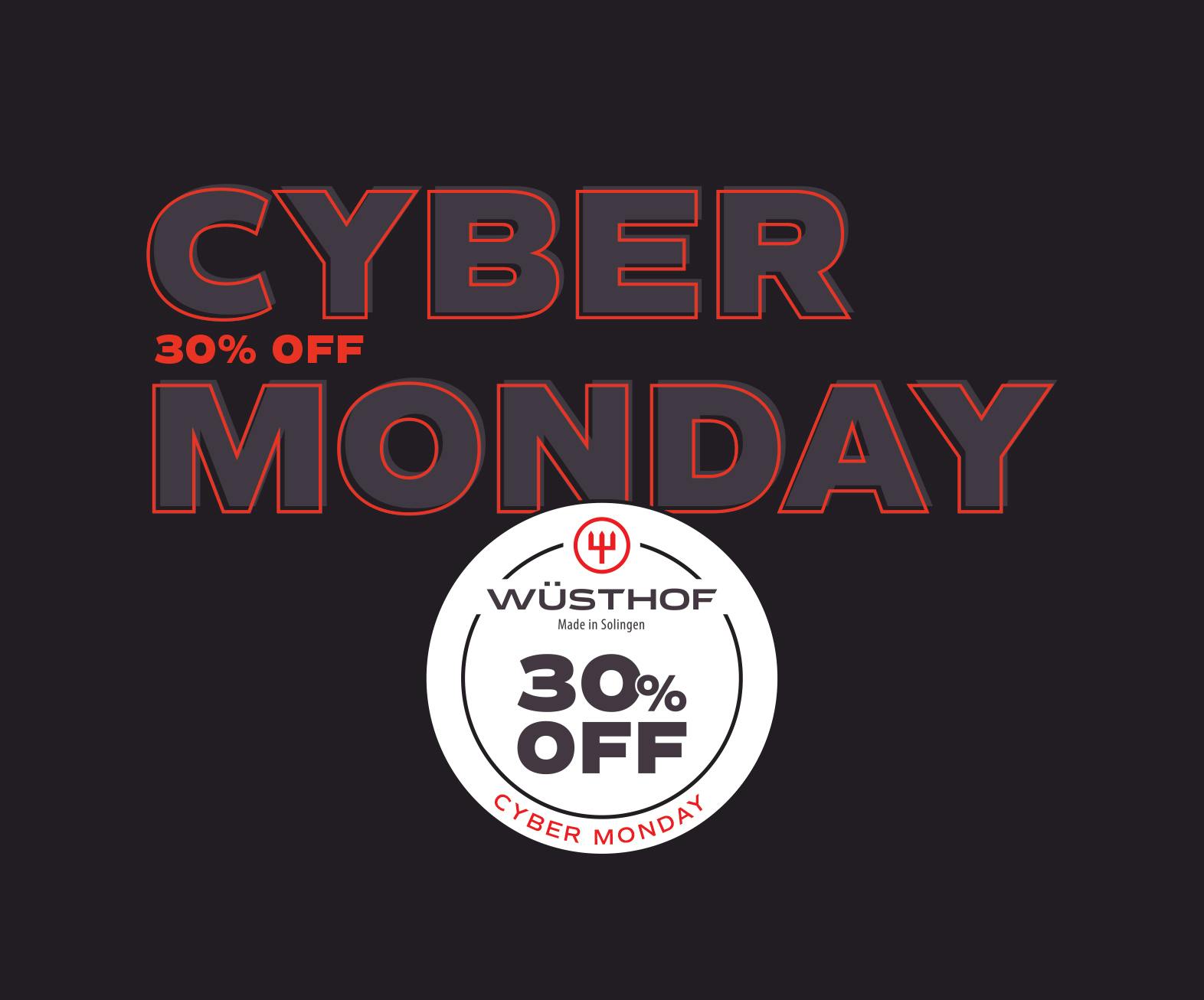 Cyber Monday 30%